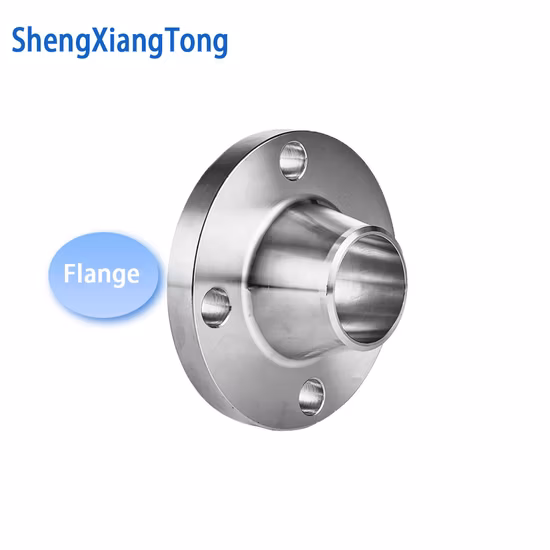 ANSI/DIN/En1092-1 geschmiedeter Kohlenstoff/Edelstahl Pn10/16 Schweißhals/Blind-/Aufsteck-/Überlappungsverbindung/Flachplatte/Muffe RF/FF-Rohrflansche